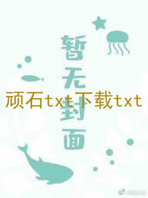 顽石txt下载txt