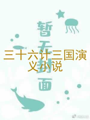 三十六计三国演义小说
