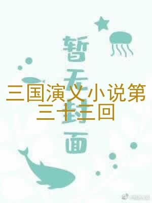 三国演义小说第三十三回