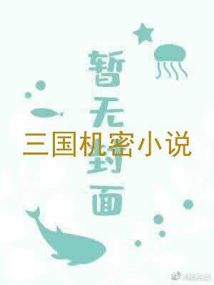 三国机密小说