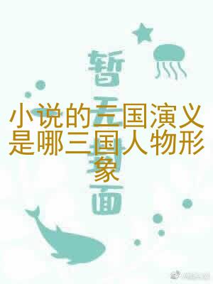 小说的三国演义是哪三国人物形象